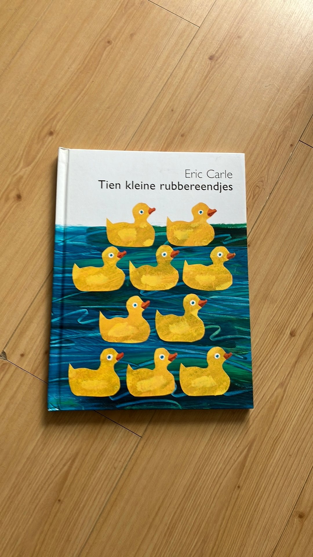 Tien kleine rubbereendjes, Ophalen of Verzenden, Zo goed als nieuw, Fictie algemeen