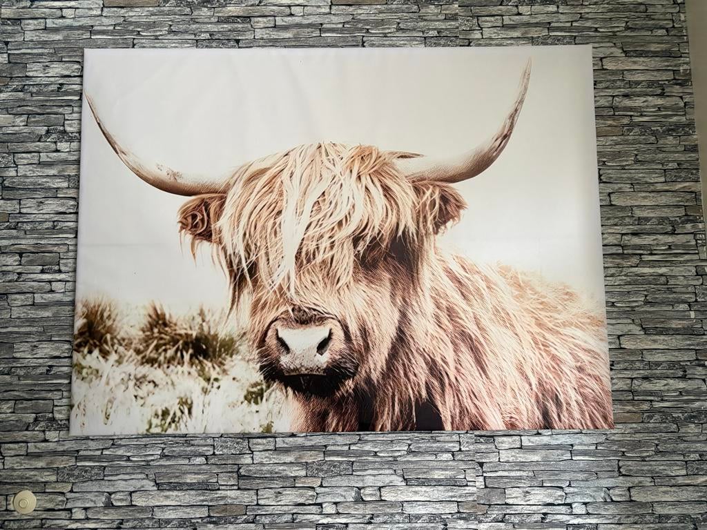 Groot Highlander canvas - 90x120cm, Ingelijst & Afwasbaar, Ophalen, Gebruikt, Overige typen, 100 tot 125 cm