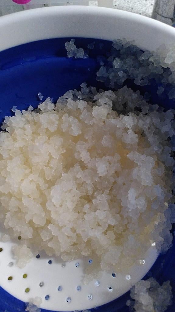 Waterkefir korrels gratis afhalen, Diversen, Levensmiddelen, Ophalen
