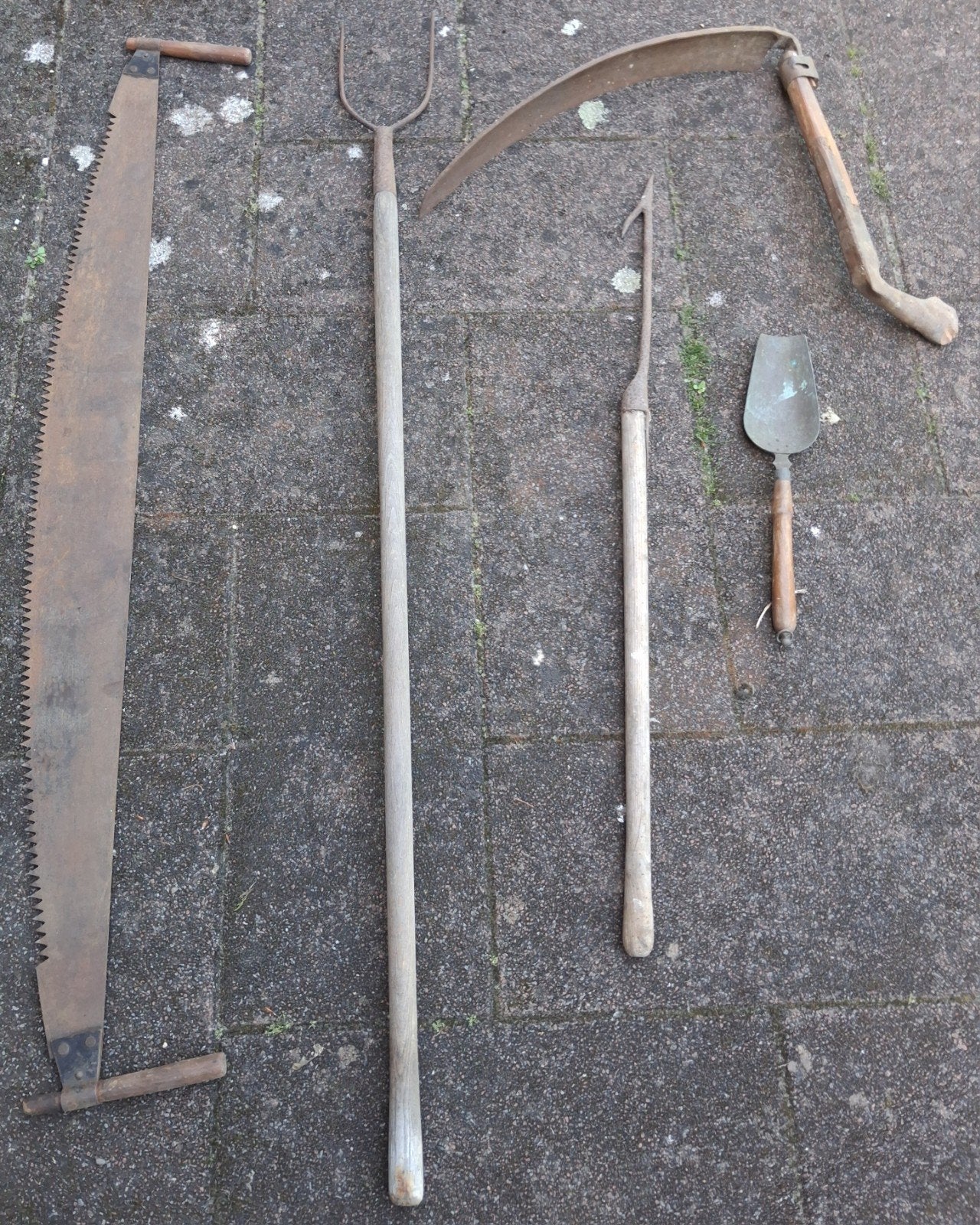 Gereedschap: Trekzaag, zeis, riek, boothaak en schepje, Ophalen of Verzenden
