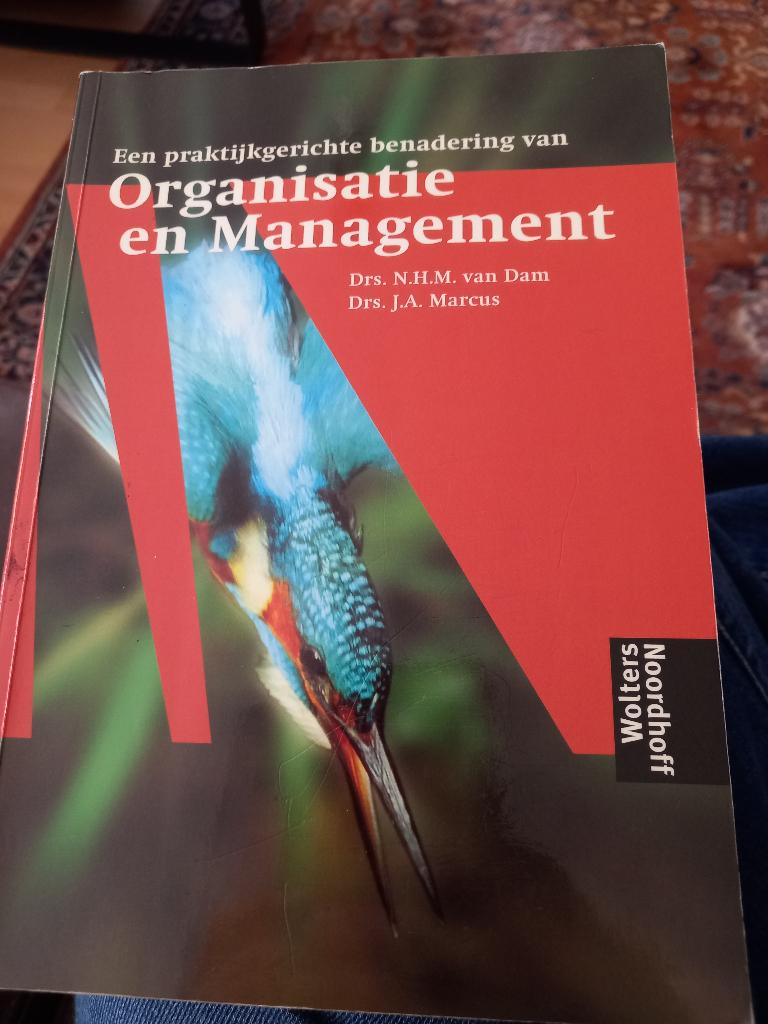 Een praktijkgerichte benadering vn management en organisatie, Management, N.h.m van dam, Ophalen, Gelezen