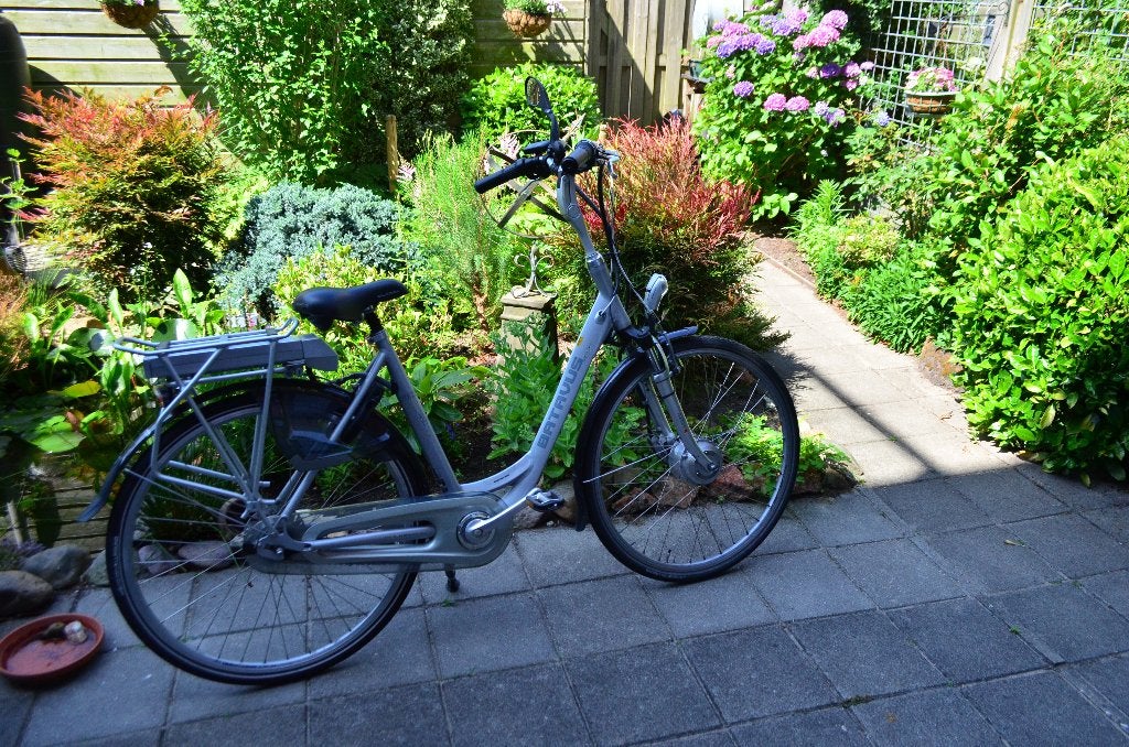 Vouwfiets e-bike Raaks, 20 inch of meer, Velgrem, Versnellingen, Zo goed als nieuw