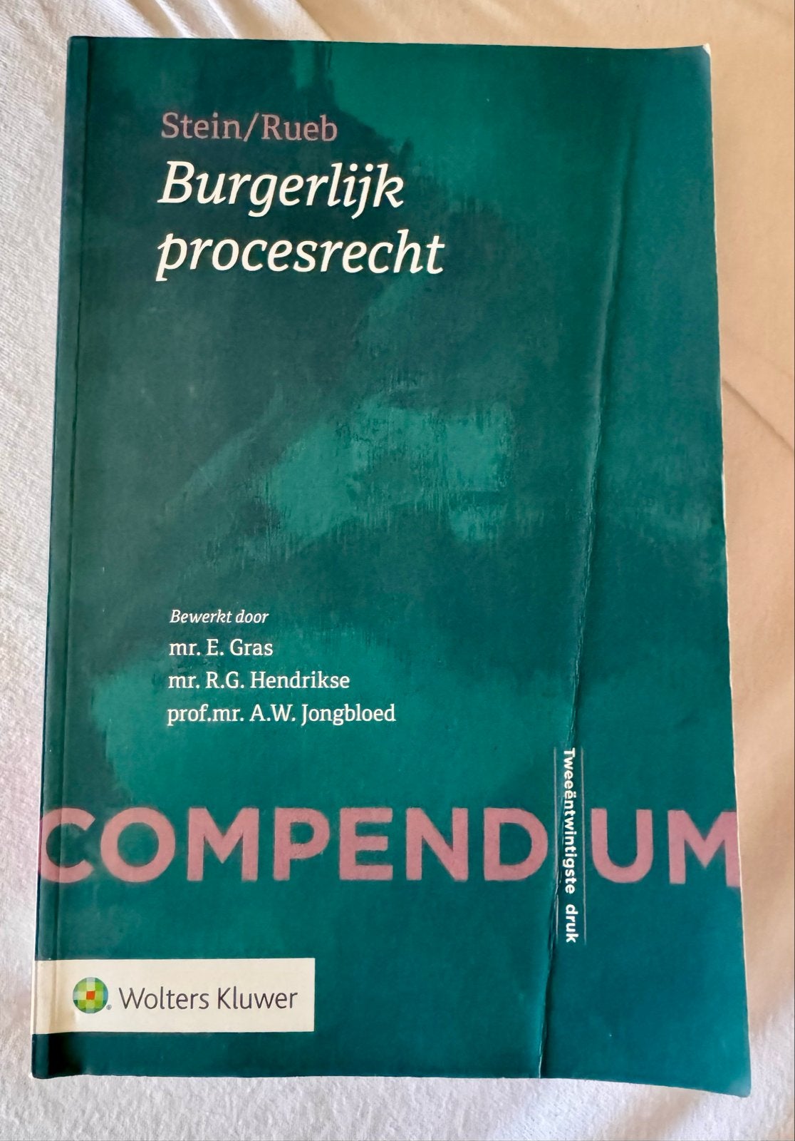 Compendium Burgerlijk procesrecht - Stein/Rueb (22e druk), Boeken, Studieboeken en Cursussen, Ophalen of Verzenden, Gamma, Zo goed als nieuw