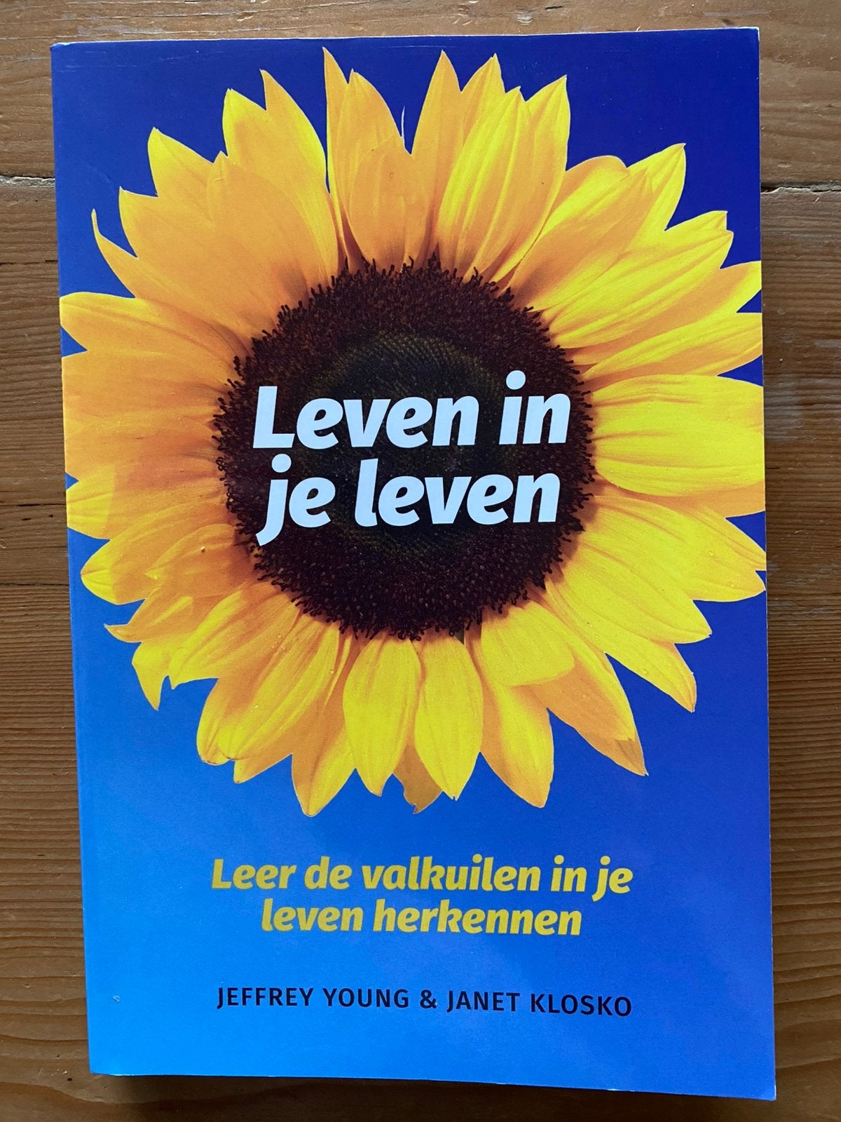 Leven in je leven - J Young, Boeken, Ophalen of Verzenden, Zo goed als nieuw