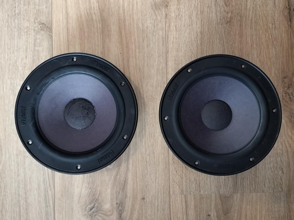 Magnat All-Ribbon 4 Woofers 95-6461, Ophalen of Verzenden