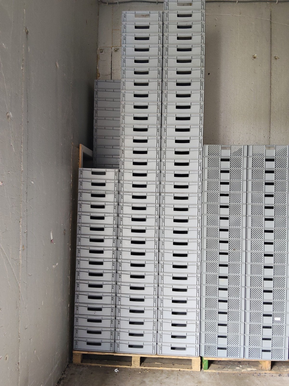 60*40 kratten 132 stuks, Gebruikt, 40 tot 60 cm, 50 tot 75 cm, Minder dan 35 cm