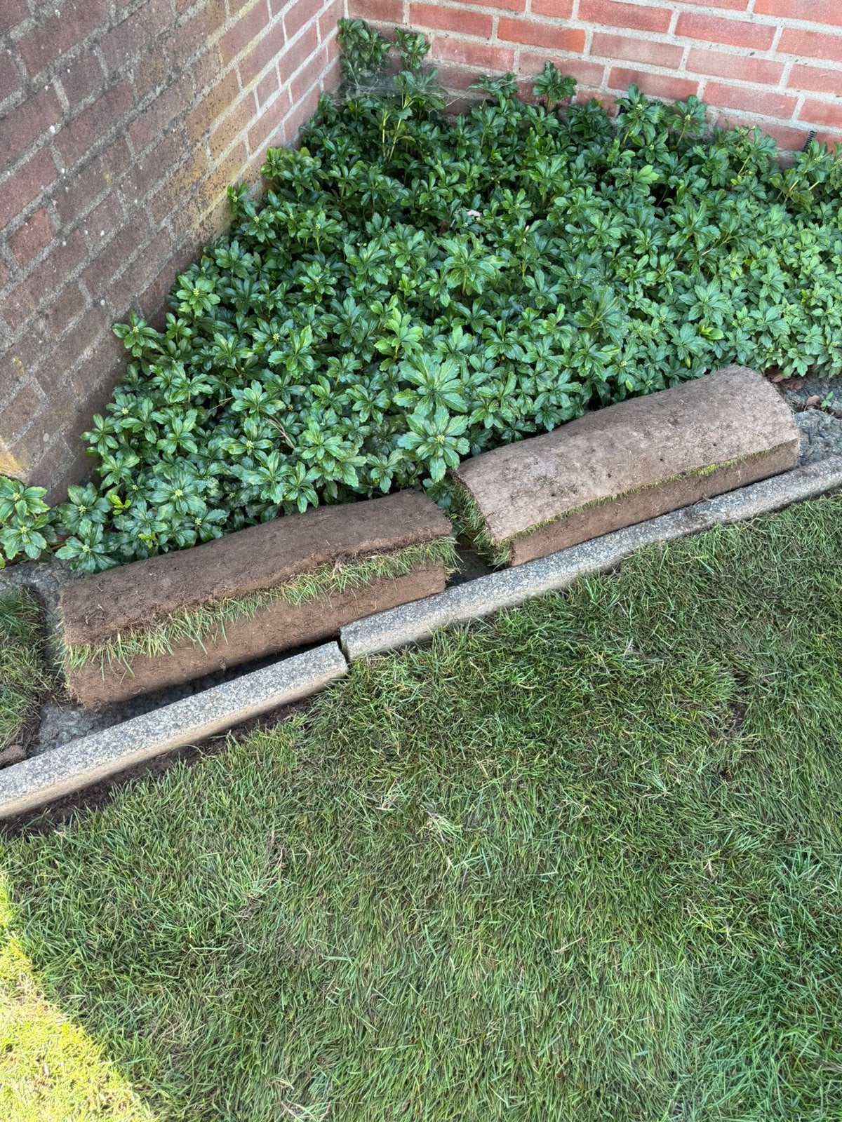 1,5 m2 graszoden - gratis af te halen, Ophalen, Nieuw, Minder dan 10 m², Gras