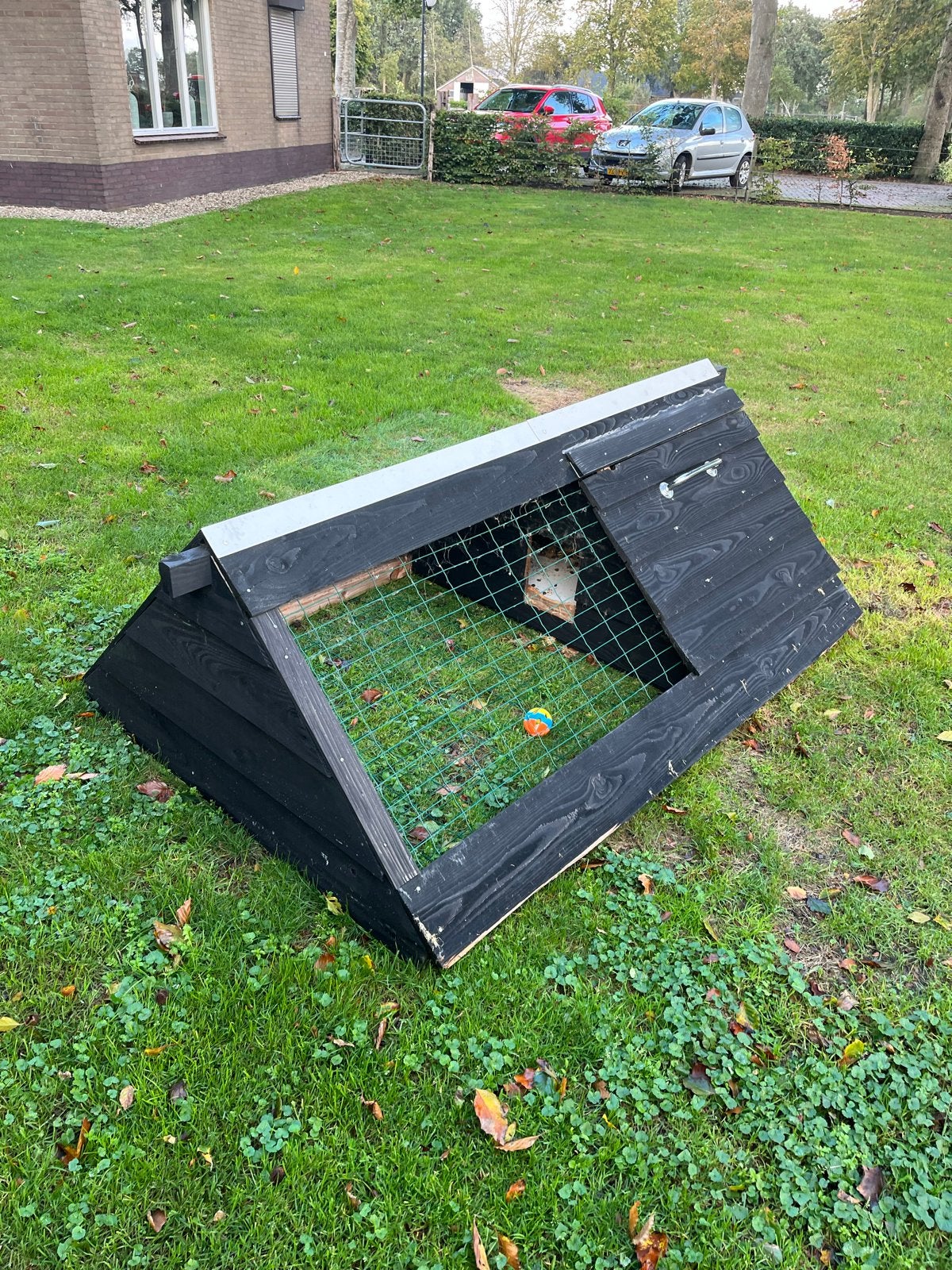 Vlaamse reus ram met konijnenhok, Ophalen of Verzenden