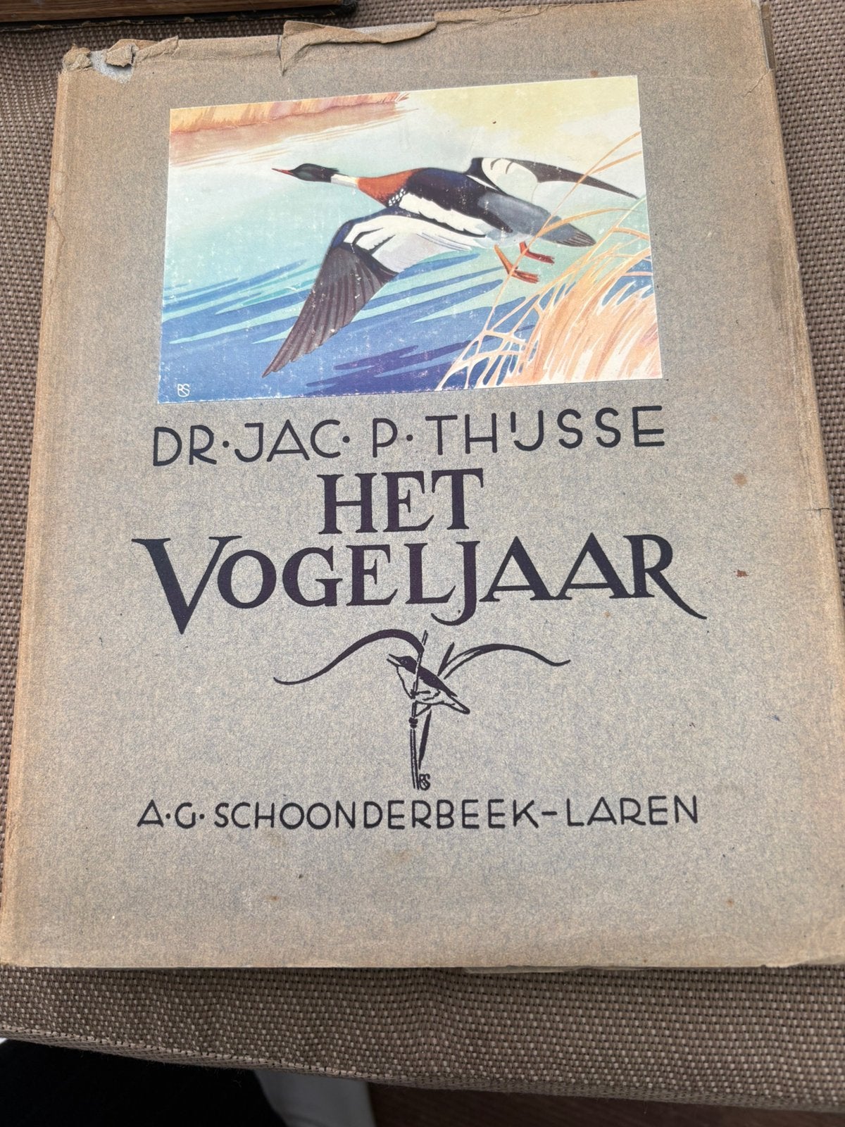 Het vogeljaar door Jac. p. thijsse, Boeken, Ophalen of Verzenden, Gelezen, Vogels