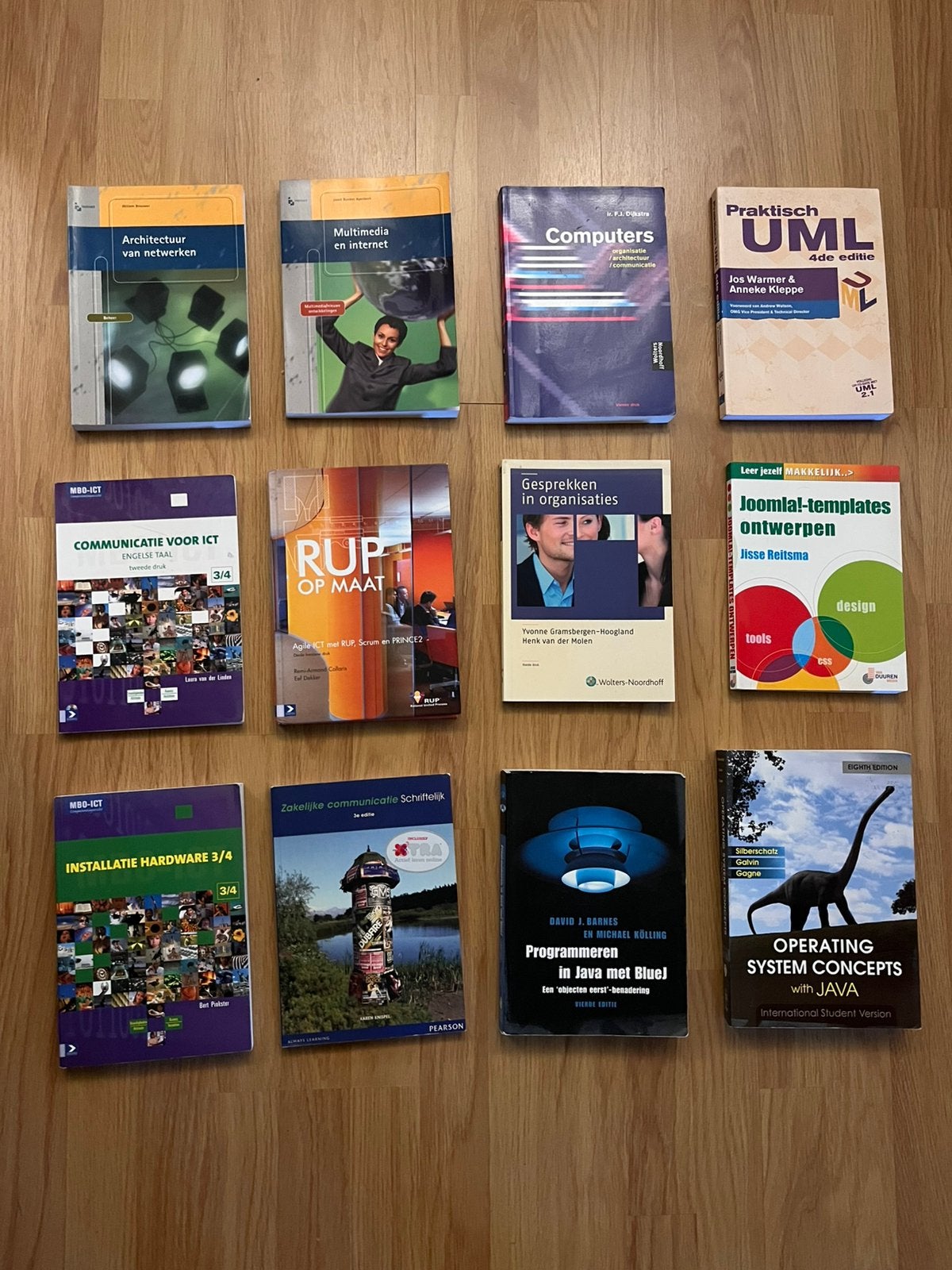 Studieboeken ICT / MBO-HBO - 12 boeken, Ophalen of Verzenden, Beta, Zo goed als nieuw, MBO