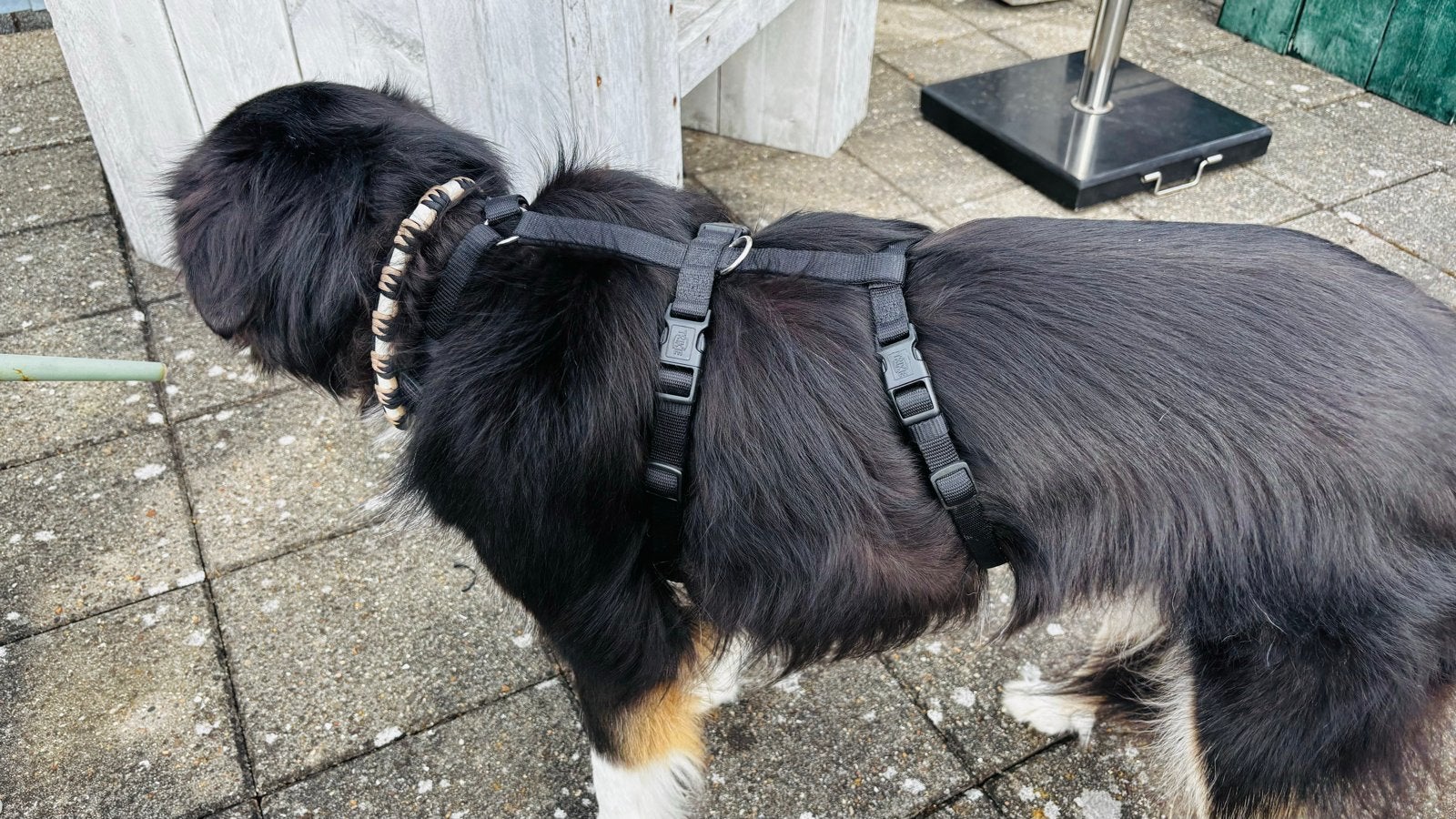 Ontsnappingstuig Trixie middelgrote hond, Dieren en Toebehoren, Trixie, Ophalen, Zo goed als nieuw, Hondentuig