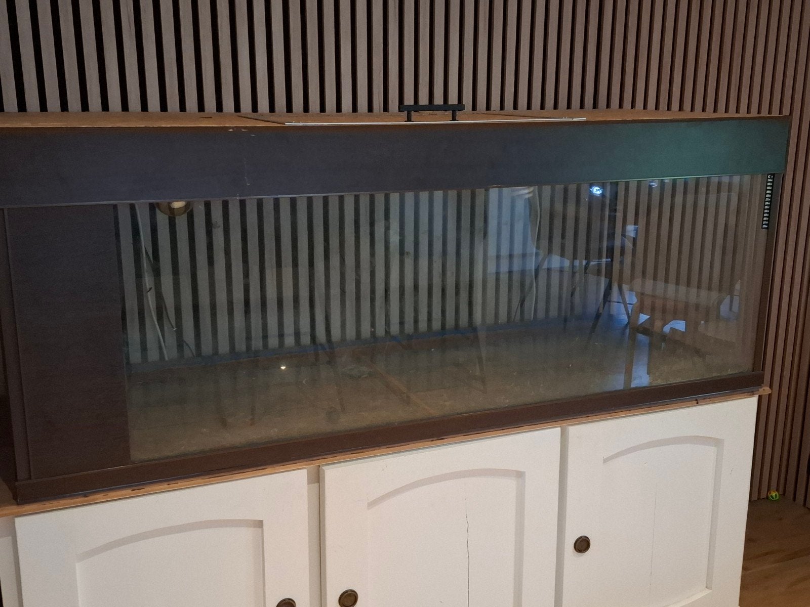 Terrarium, Dieren en Toebehoren, Reptielen en Amfibieën | Toebehoren, Ophalen, Gebruikt, Terrarium of Paludarium