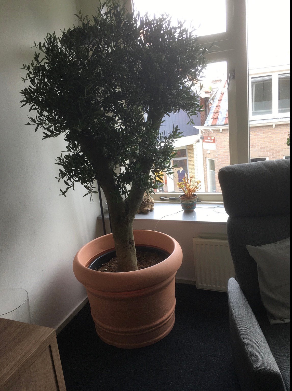 Grote kunstof bloempot, Tuin en Terras, Bloempotten, Kunststof, 40 cm of meer, Rond, Ophalen of Verzenden