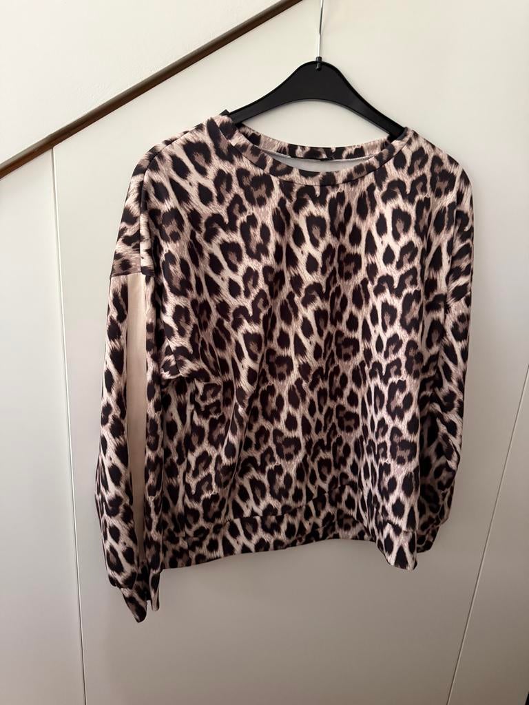 Pescara ter Stal Dunne Trui Leopard Panterprint Beige Bruin, Ophalen of Verzenden, Nieuw, Maat 46/48 (XL) of groter, Beige