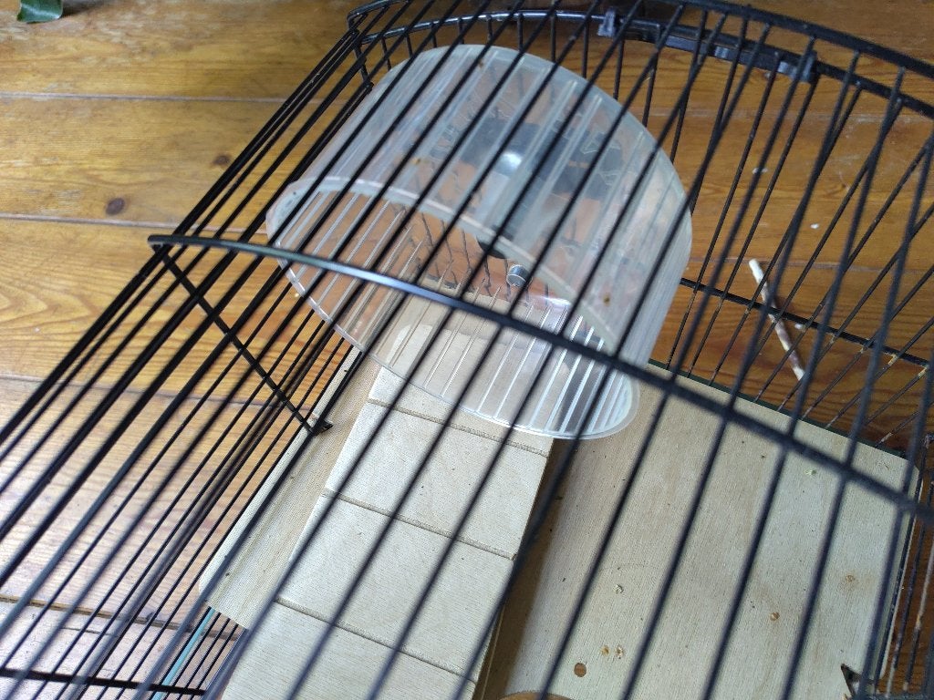 hamsterkooi, Dieren en Toebehoren, Knaagdieren en Konijnen | Hokken en Kooien, Kooi, Gebruikt, Minder dan 75 cm, Hamster