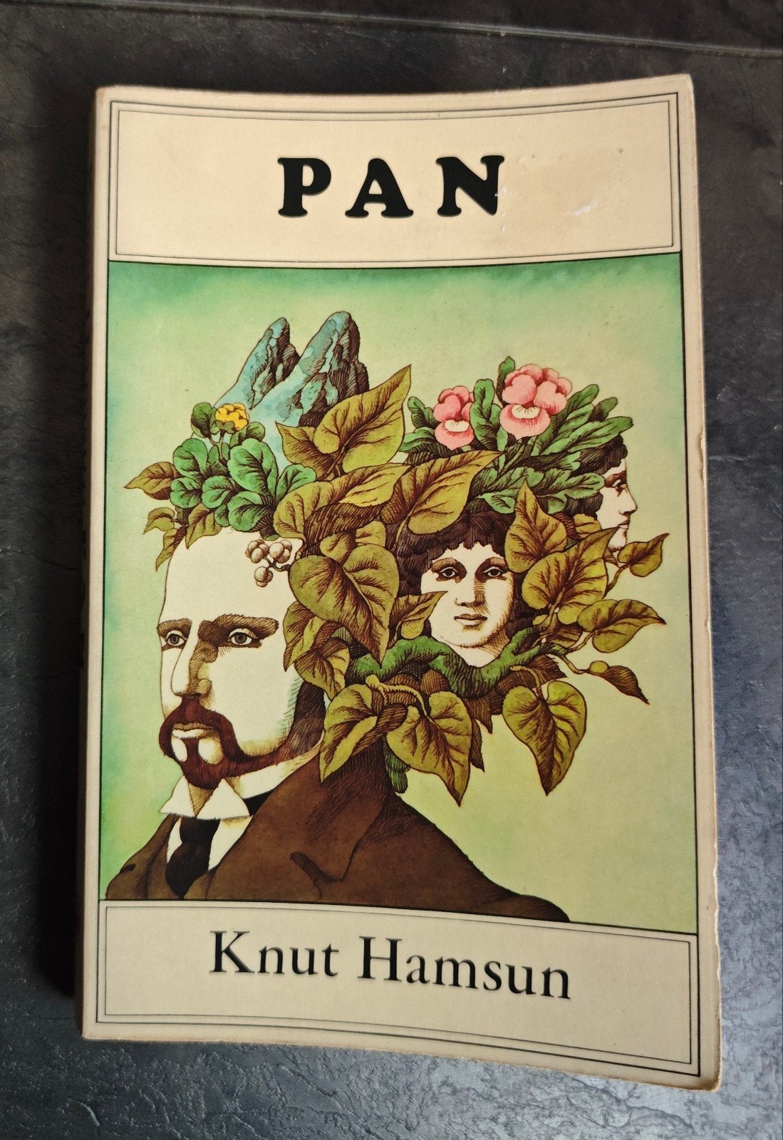 Knut Hamsun: Pan., Boeken, Gelezen, Europa overig, Ophalen of Verzenden, Knut Hamsun
