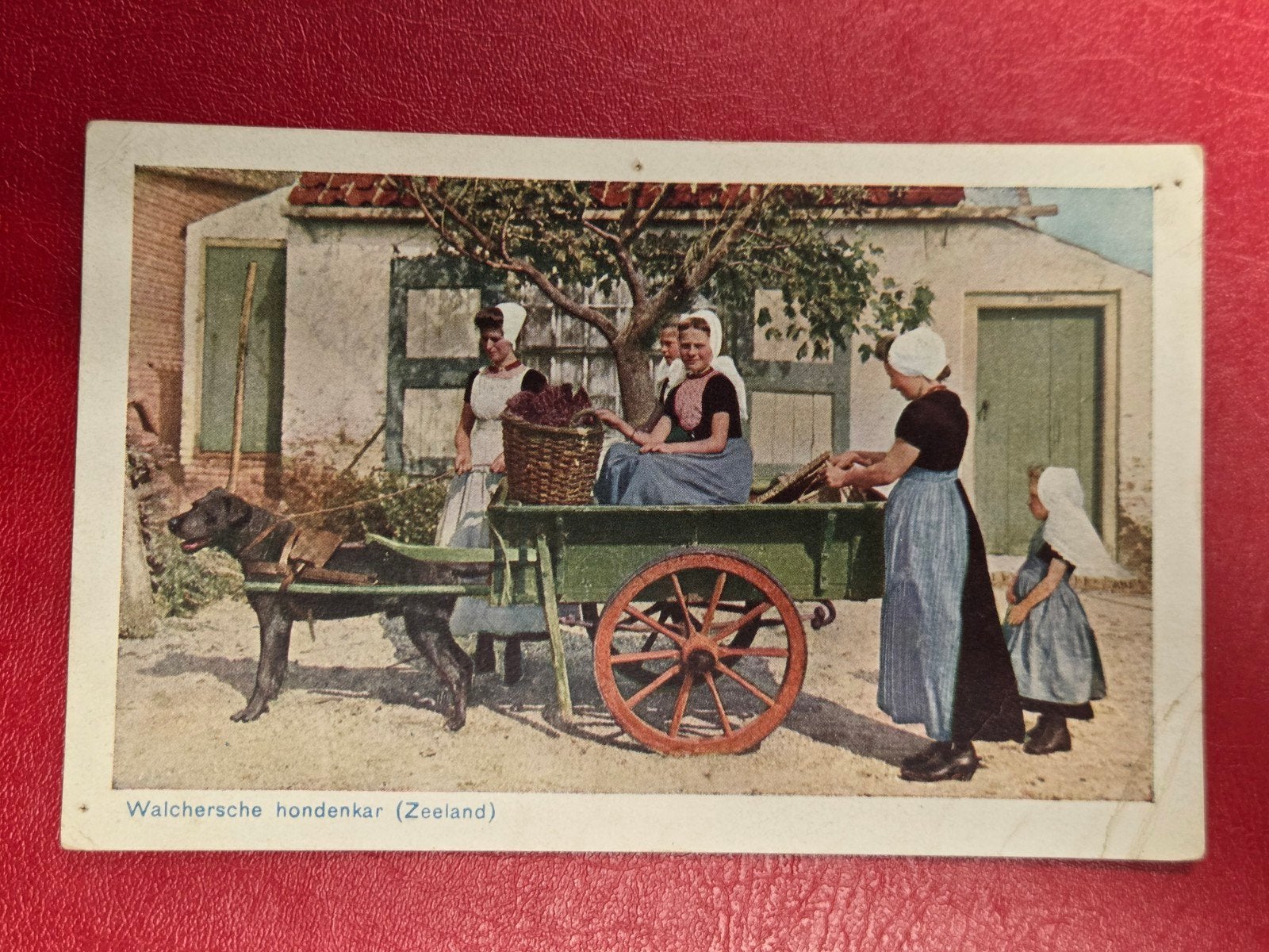 Zeeland Walchersche hondekar, Ophalen of Verzenden, Klederdracht