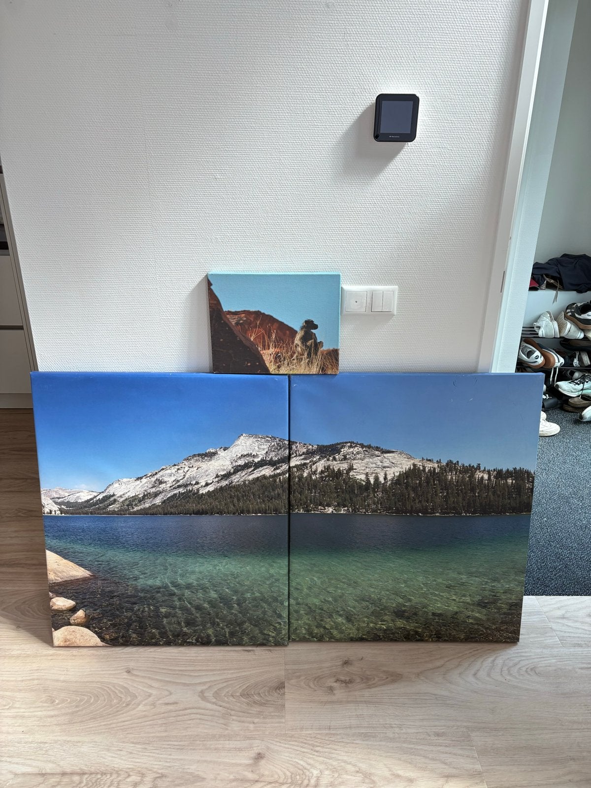 Set van 3 canvas schilderijen: Natuur en Aap, Huis en Inrichting, Woonaccessoires | Schilderijen, Tekeningen en Foto's, Ophalen