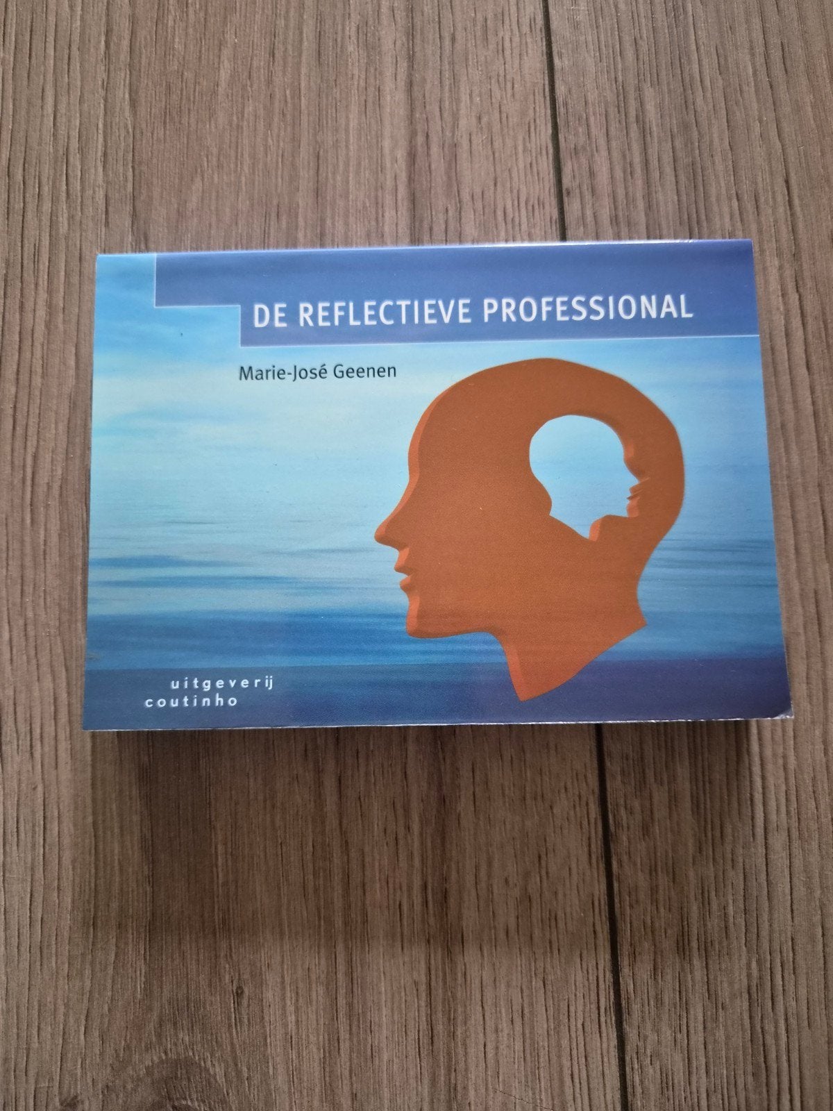 De Reflectieve Professional - Marie-José Geenen (Boek), Gelezen, Gamma, Marie-José Geenen, HBO