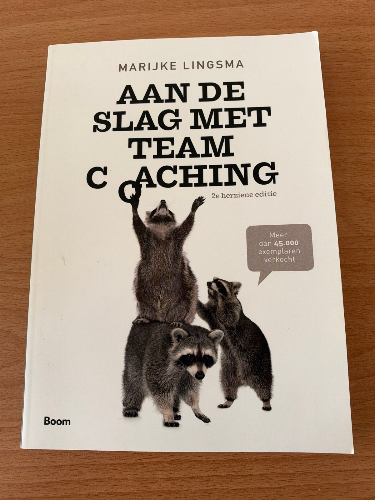 Aan de slag met teamcoaching - Marijke Lingsma, Ophalen of Verzenden, Zo goed als nieuw