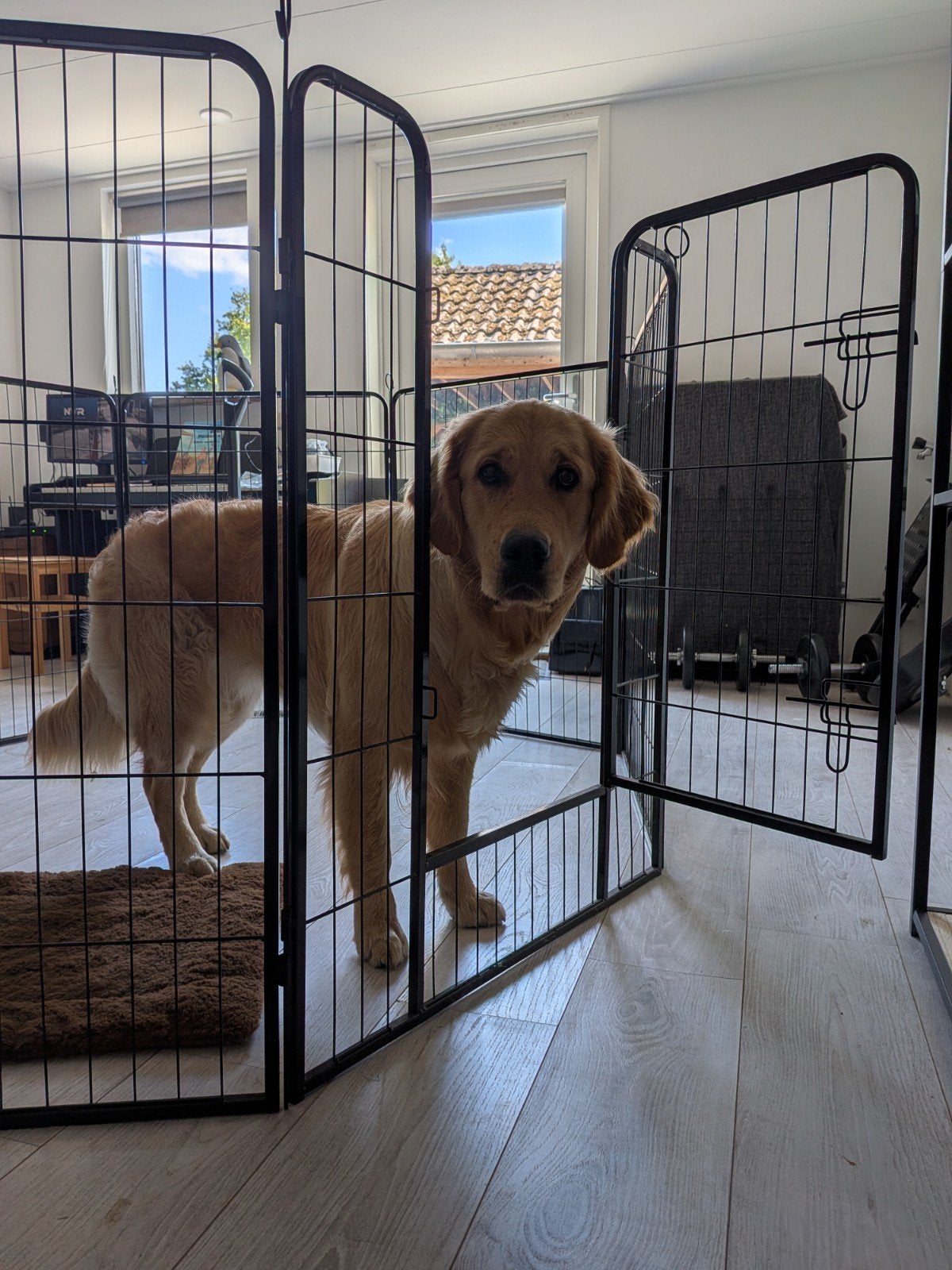 Stevige Puppyren 8 panelen (excl. hond), Ophalen, Zo goed als nieuw