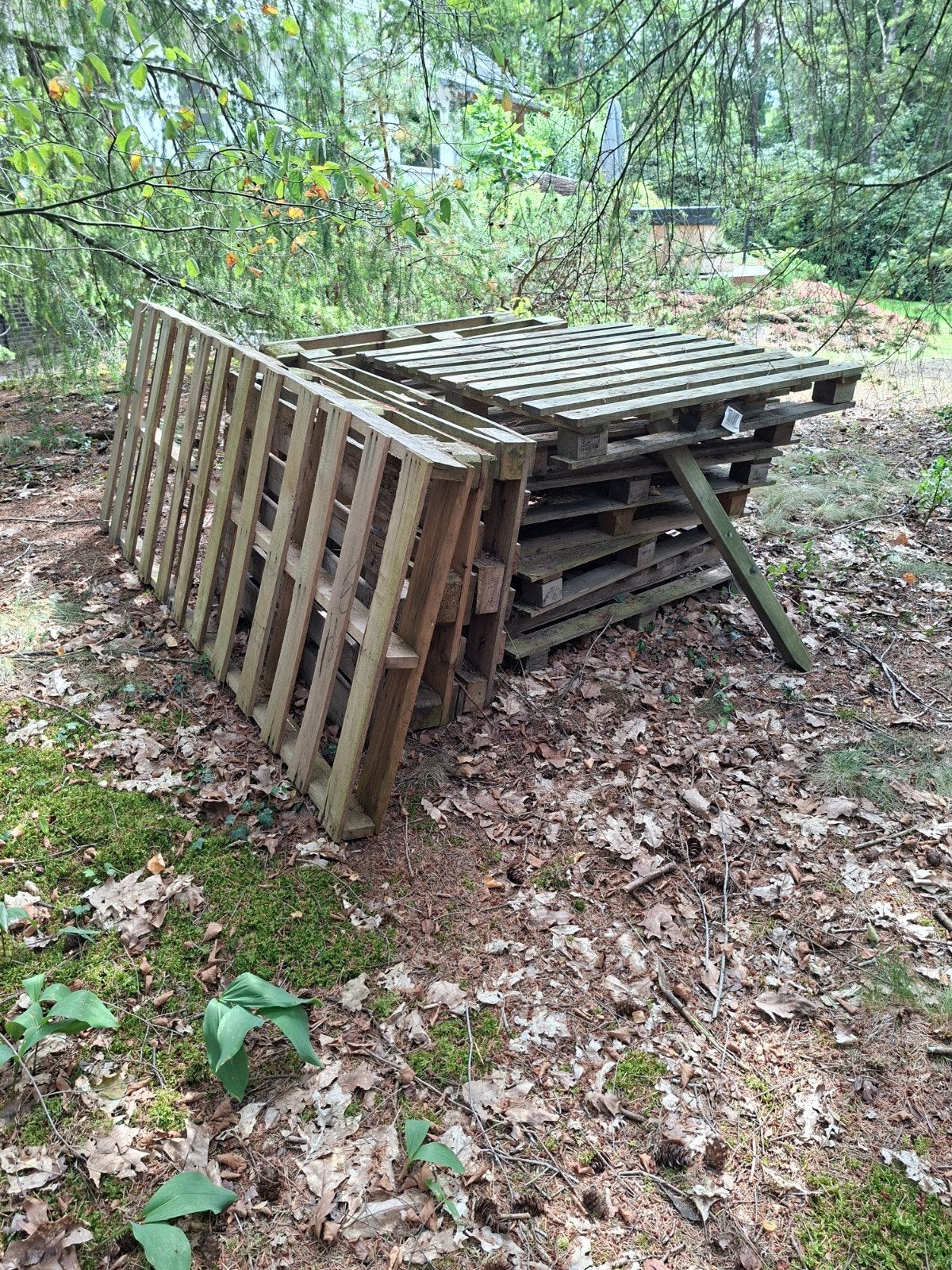 Diverse pallets: serie pellets en euro pallets, Ophalen, Gebruikt, 50 mm of meer, Pallet