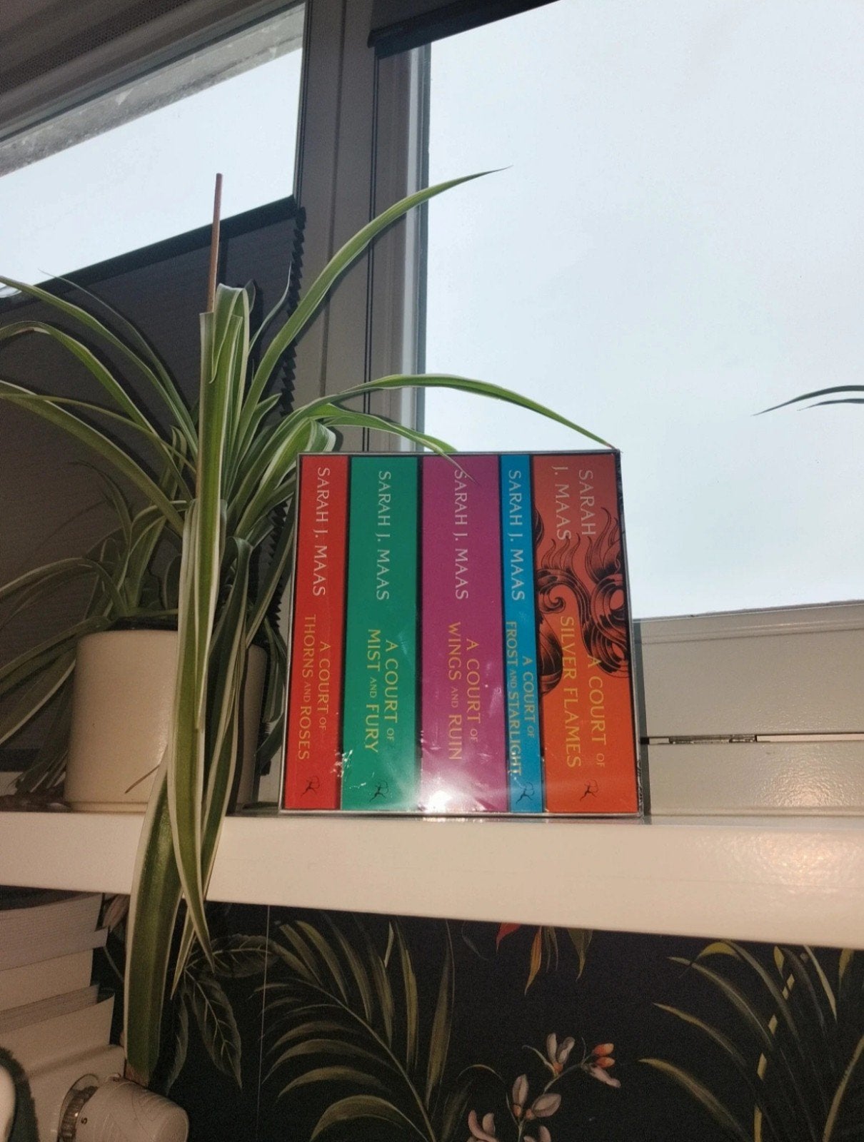 Sarah J. Maas - 9781526657077, Boeken, Ophalen of Verzenden, Nieuw, Sarah J. Maas