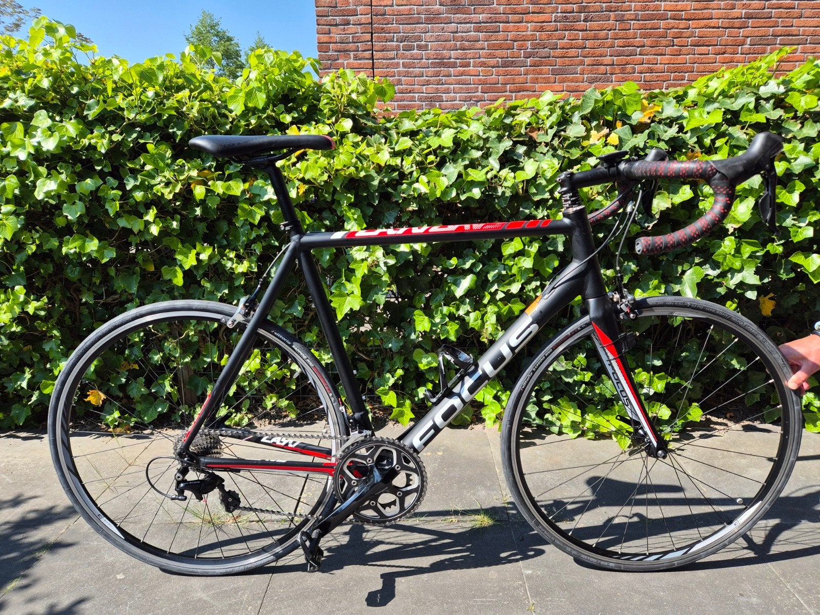 Focus racefiets Shimano 105 - recent onderhoud gehad, 28 inch, 10 tot 15 versnellingen, Aluminium, Zo goed als nieuw