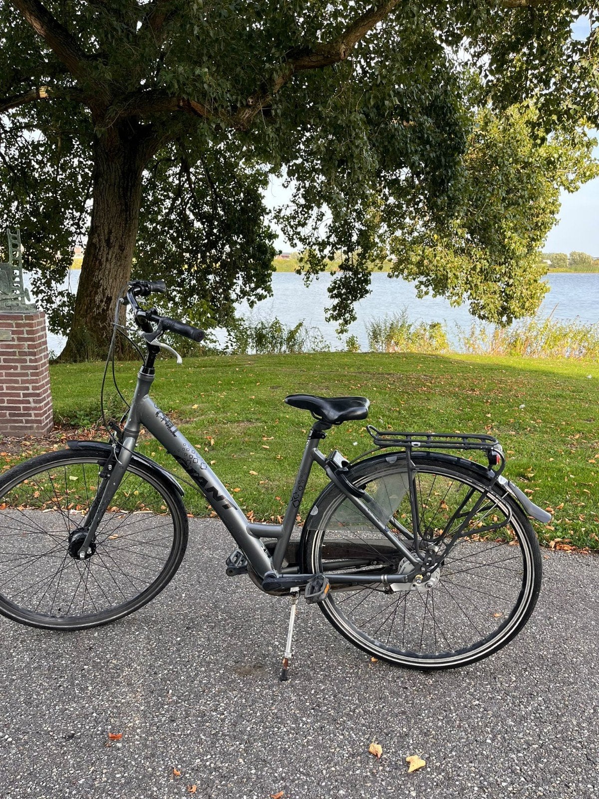 Giant Damesfiets met 3 versnellingen- Comfortabel & Betrou, Fietsen en Brommers, Ophalen, Gebruikt, Gazelle, Versnellingen