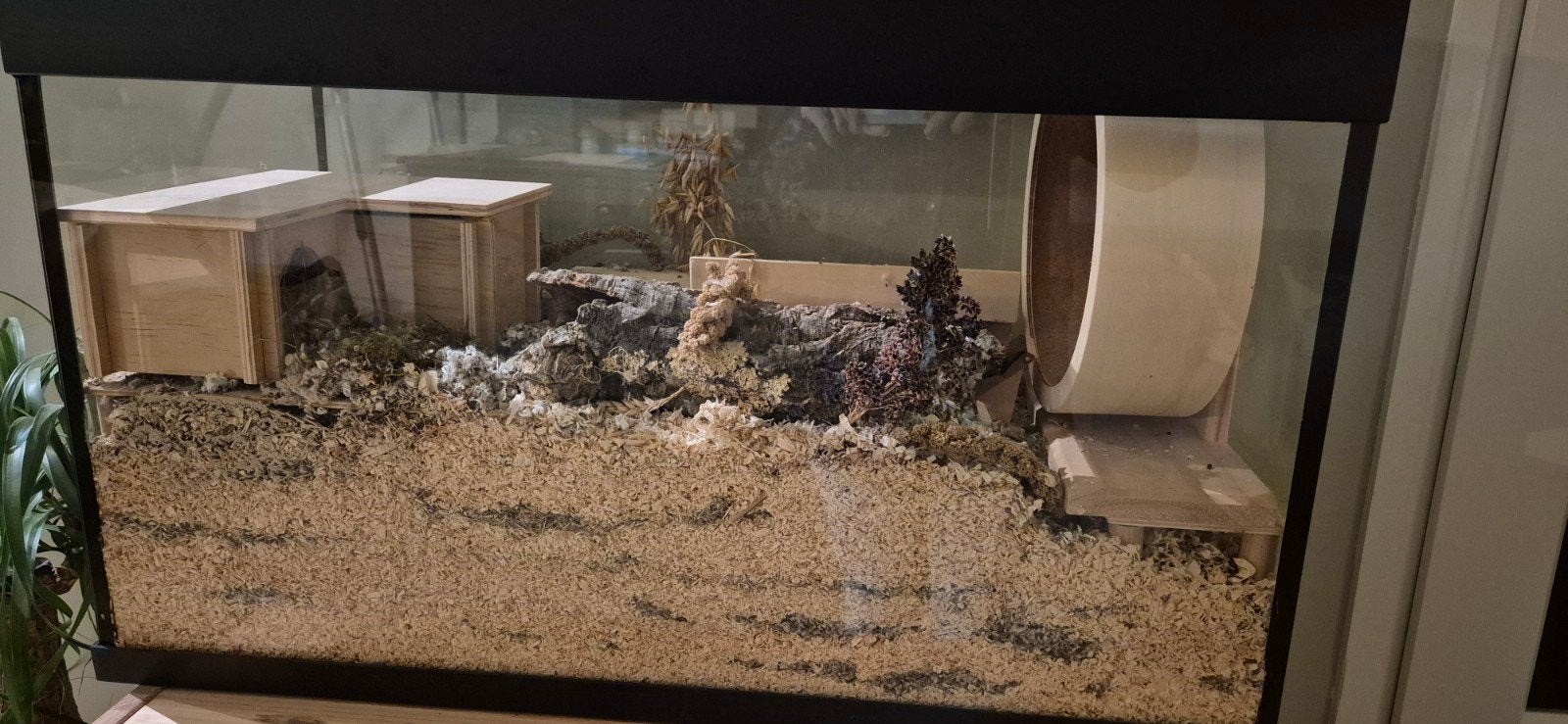 Compleet hamsterhok, Dieren en Toebehoren, 75 tot 110 cm, Ophalen, Minder dan 60 cm, Hok