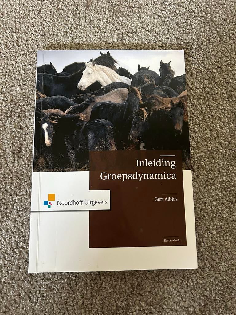 Inleiding Groepsdynamica - Gert Alblas (1e druk 2009), Boeken, Studieboeken en Cursussen, Ophalen of Verzenden, Gamma, Zo goed als nieuw