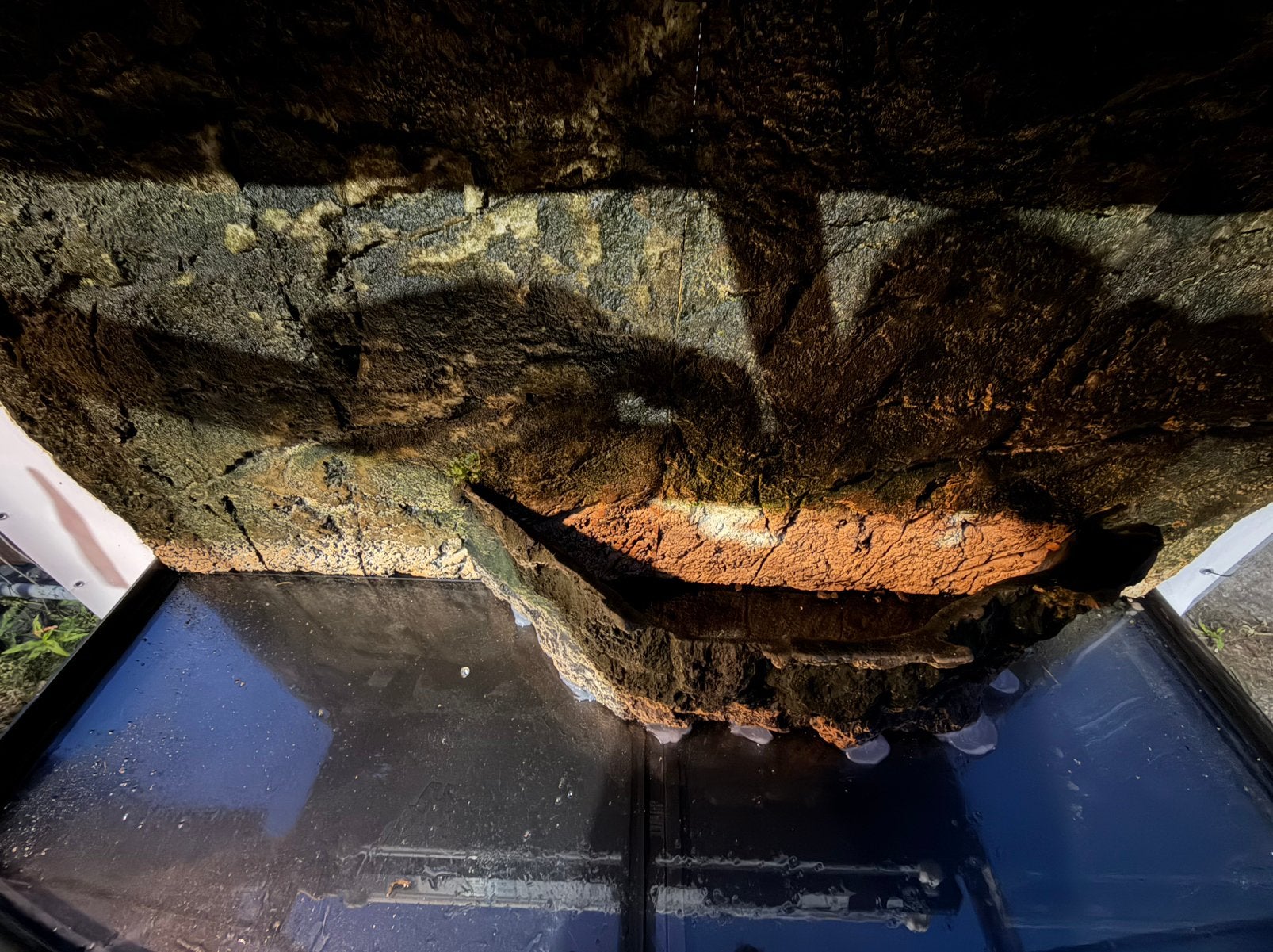 Juwel vision 260 | Zwart, Ophalen, Zo goed als nieuw, Leeg aquarium