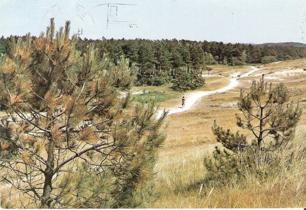 Ommen                     99, Ophalen of Verzenden, Voor 1920, Overijssel