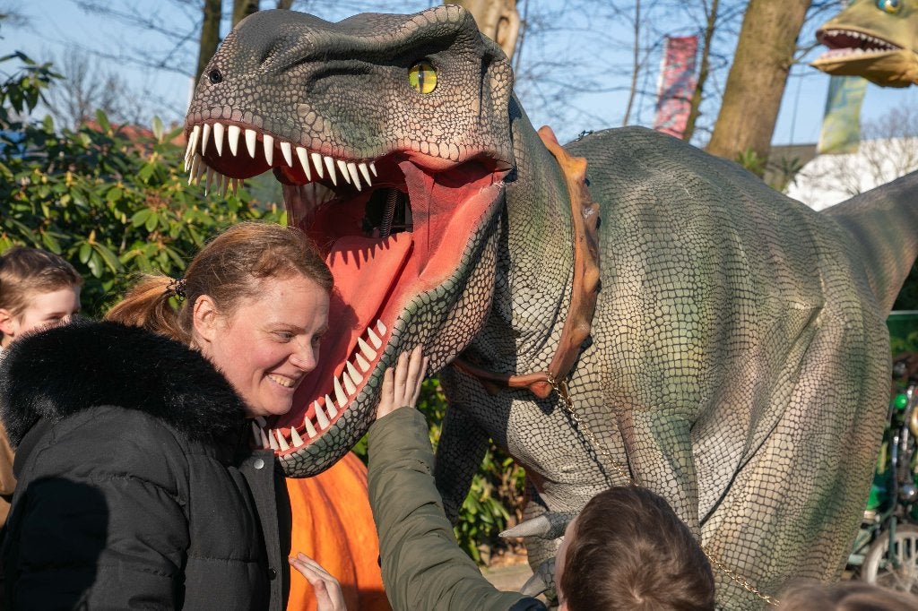 T-Rex dinosaurus costume professioneel met geluid beweging, Ophalen, Zo goed als nieuw