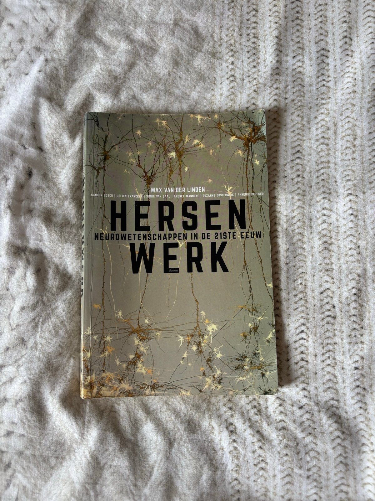 Hersenwerk: Neurowetenschappen in de 21e Eeuw, Ophalen of Verzenden, Gelezen, Natuurwetenschap