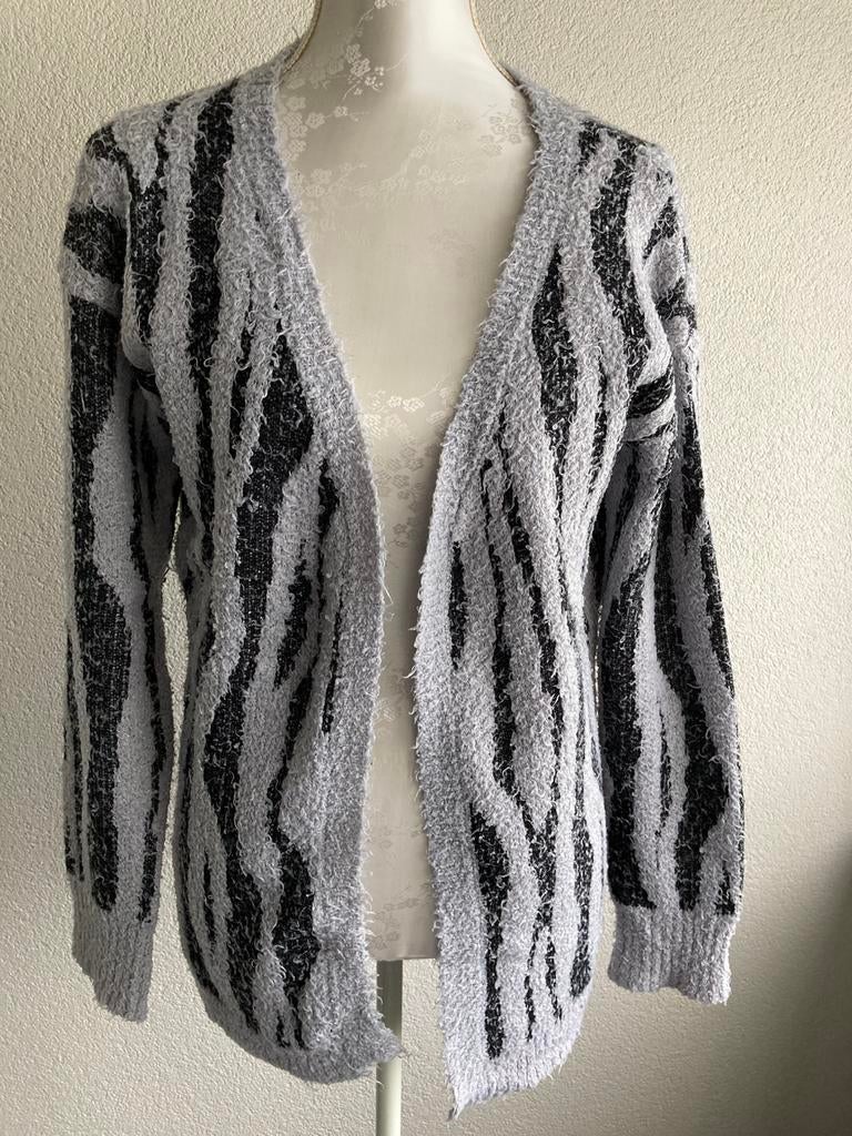 Mooi vest maat 38, Ophalen of Verzenden, Zo goed als nieuw, Maat 38/40 (M), Grijs