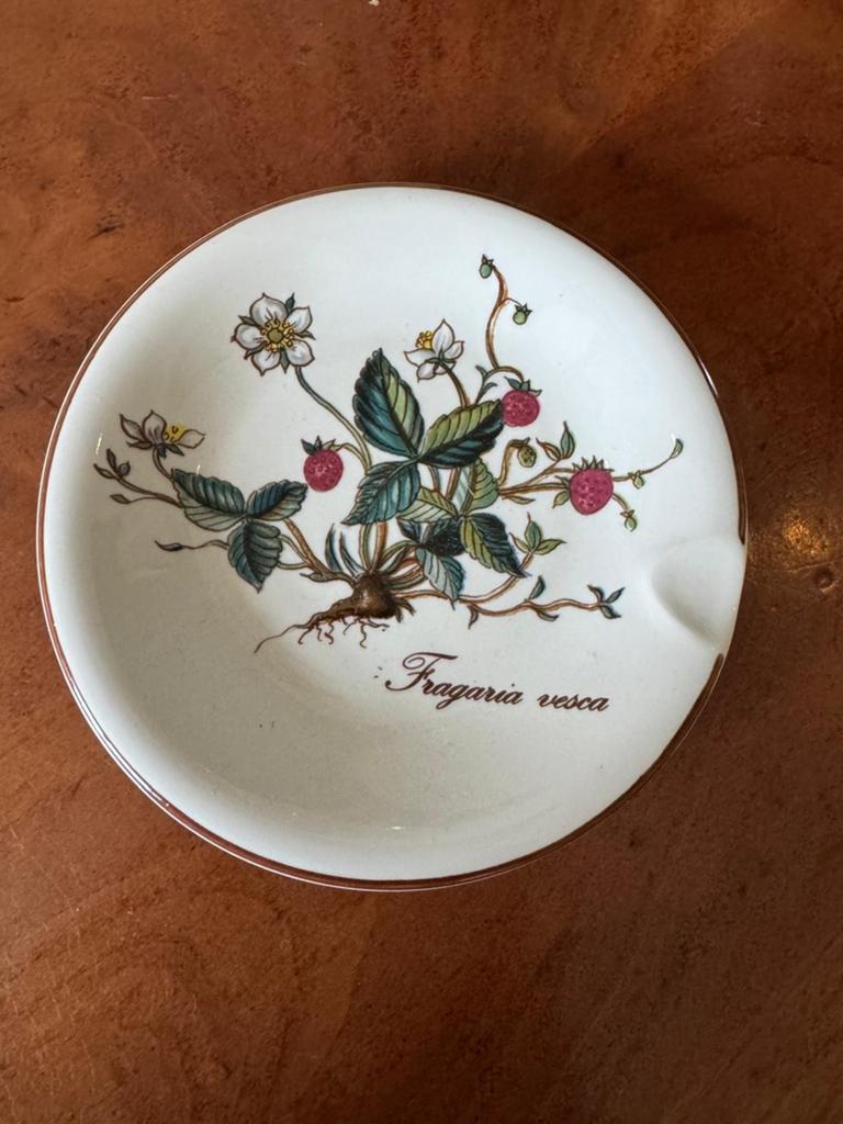Villeroy & Boch Botanica, Huis en Inrichting, Keuken | Servies, Ophalen of Verzenden, Zo goed als nieuw