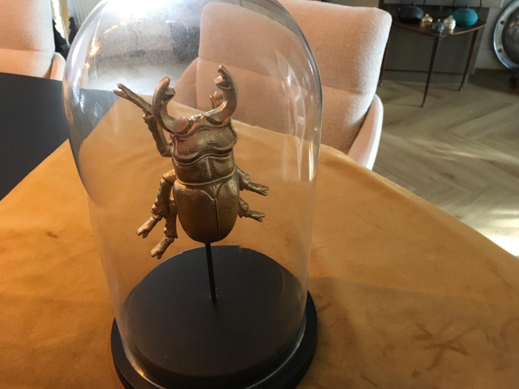 Gouden kever onder glazen stolp - decoratief object, Huis en Inrichting, Woonaccessoires | Stolpen, Ophalen of Verzenden, Zo goed als nieuw