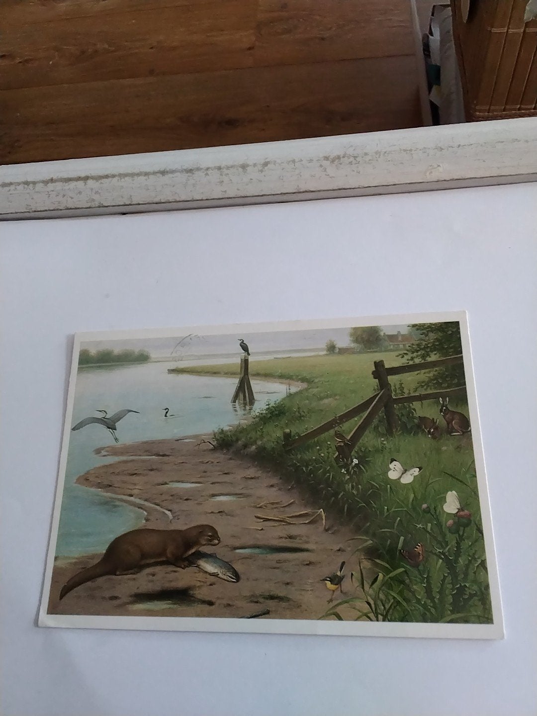 Oude Schoolplaat Ansichtkaart - Aan de Rivier M.A.KOEKKOEK, Verzamelen, Ophalen of Verzenden