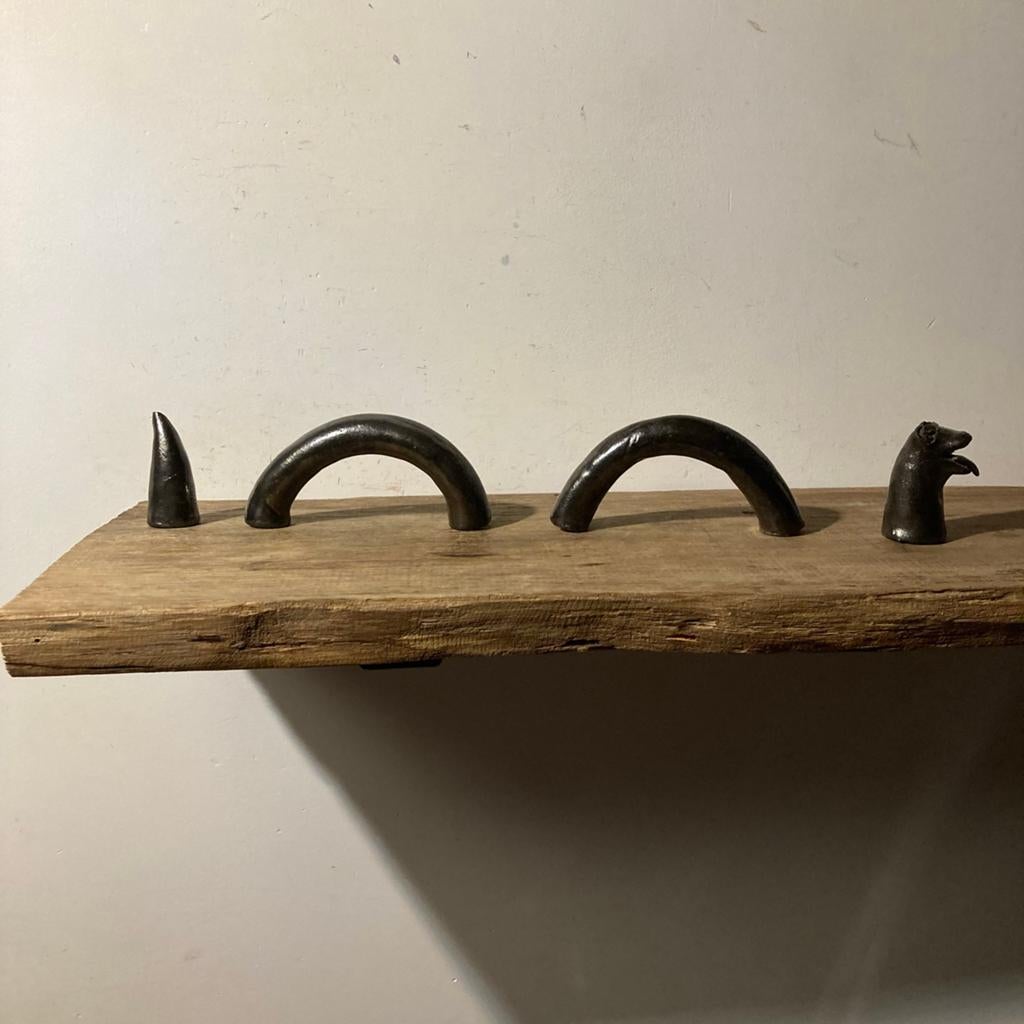 Unieke Zeeslang/Monster Plank Decoratie, Ophalen of Verzenden