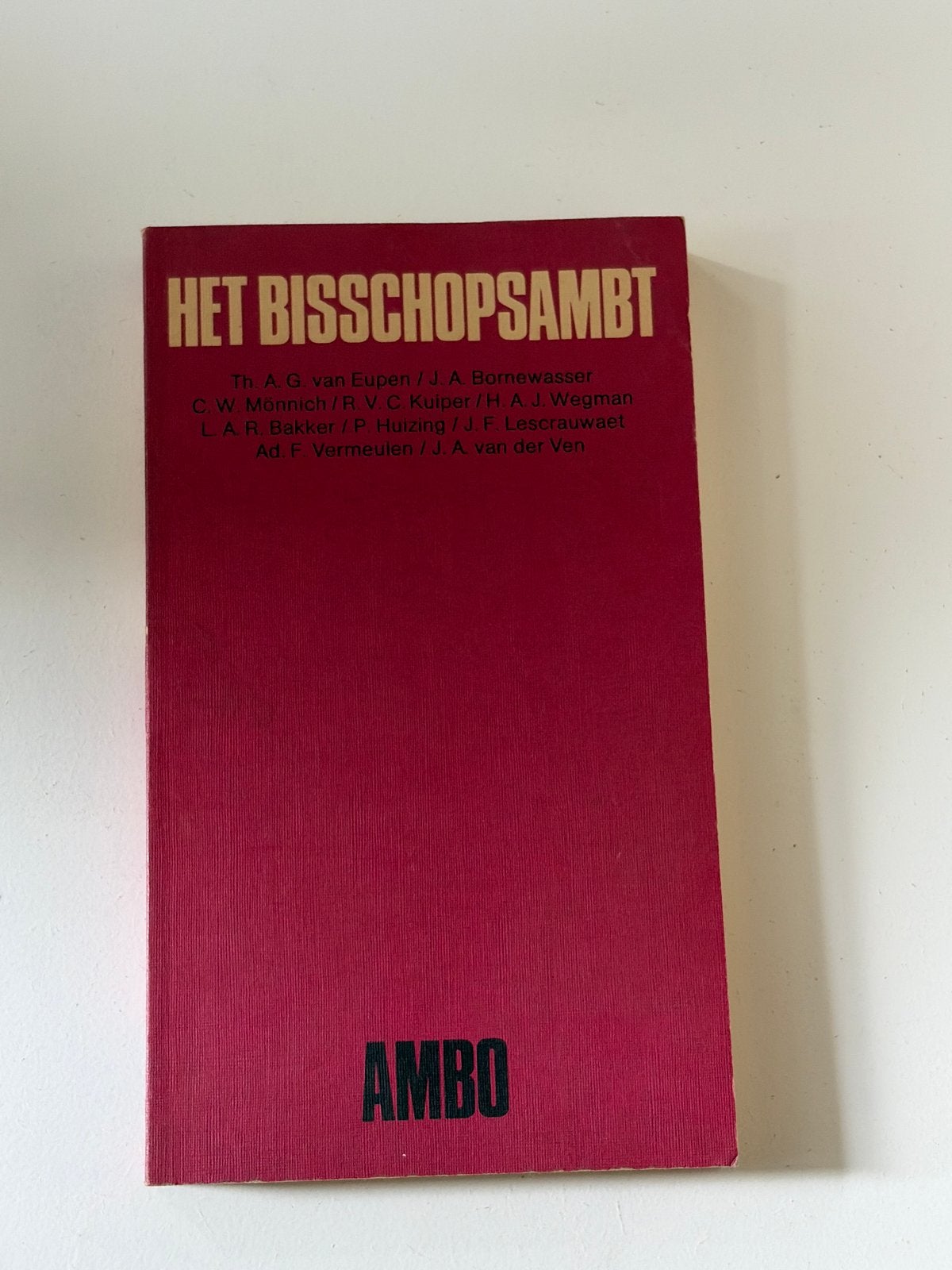 Het Bisschopsambt - Theologie en Kerkgeschiedenis, Boeken, Ophalen of Verzenden, Gelezen, Christendom | Katholiek
