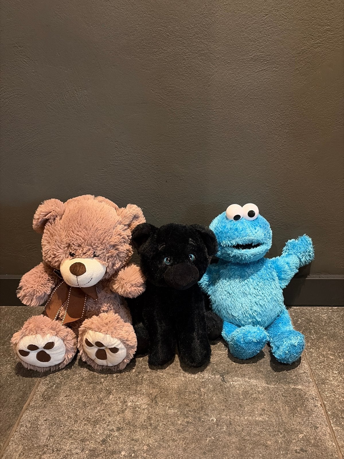 Leuke knuffels: beer, zwarte hond en Koekiemonster, Gebruikt, Overige merken, Overige karakters, Beer