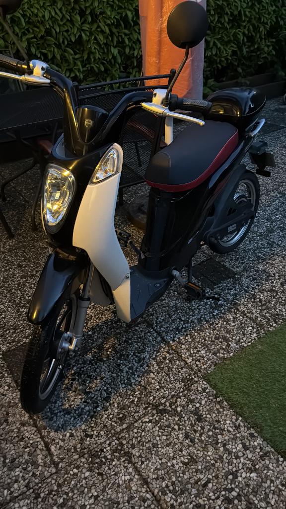 Elektrische scooter, Elektrisch, Zo goed als nieuw, Ophalen, Overige merken