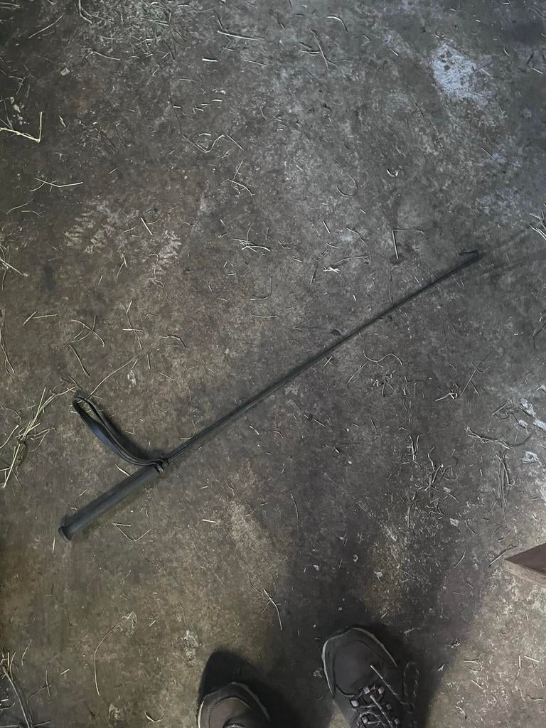 Zweep, Ophalen of Verzenden