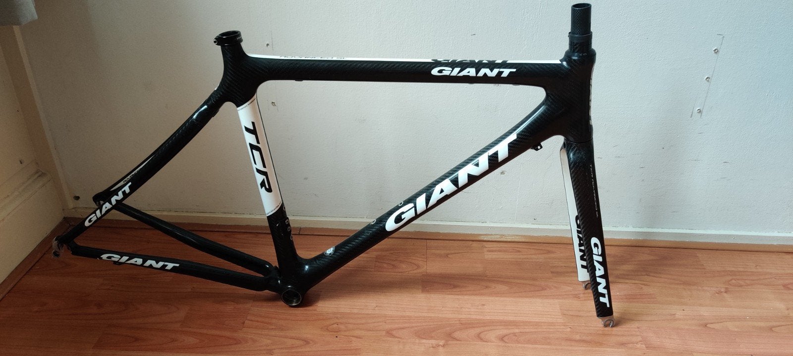 Giant TCR 50cm full volledig carbon frame UCI legaal, Carbon, 49 tot 53 cm, Zo goed als nieuw, Meer dan 20 versnellingen