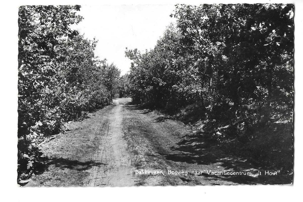 bakkeveen  't hout  bosweg  fiesland, Verzenden, 1960 tot 1980, Gelopen, Friesland