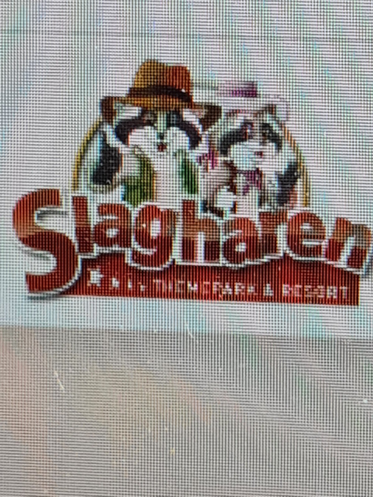 slagharen attractiepark e-tickets, meerdere aanwezig, Drie personen of meer, Ticket of Toegangskaart