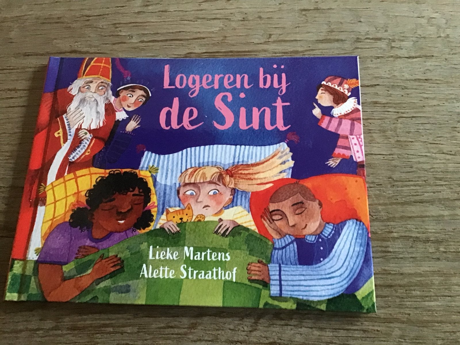 Nieuw Boek Logeren bij de Sint, Ophalen of Verzenden, Nieuw, Fictie algemeen