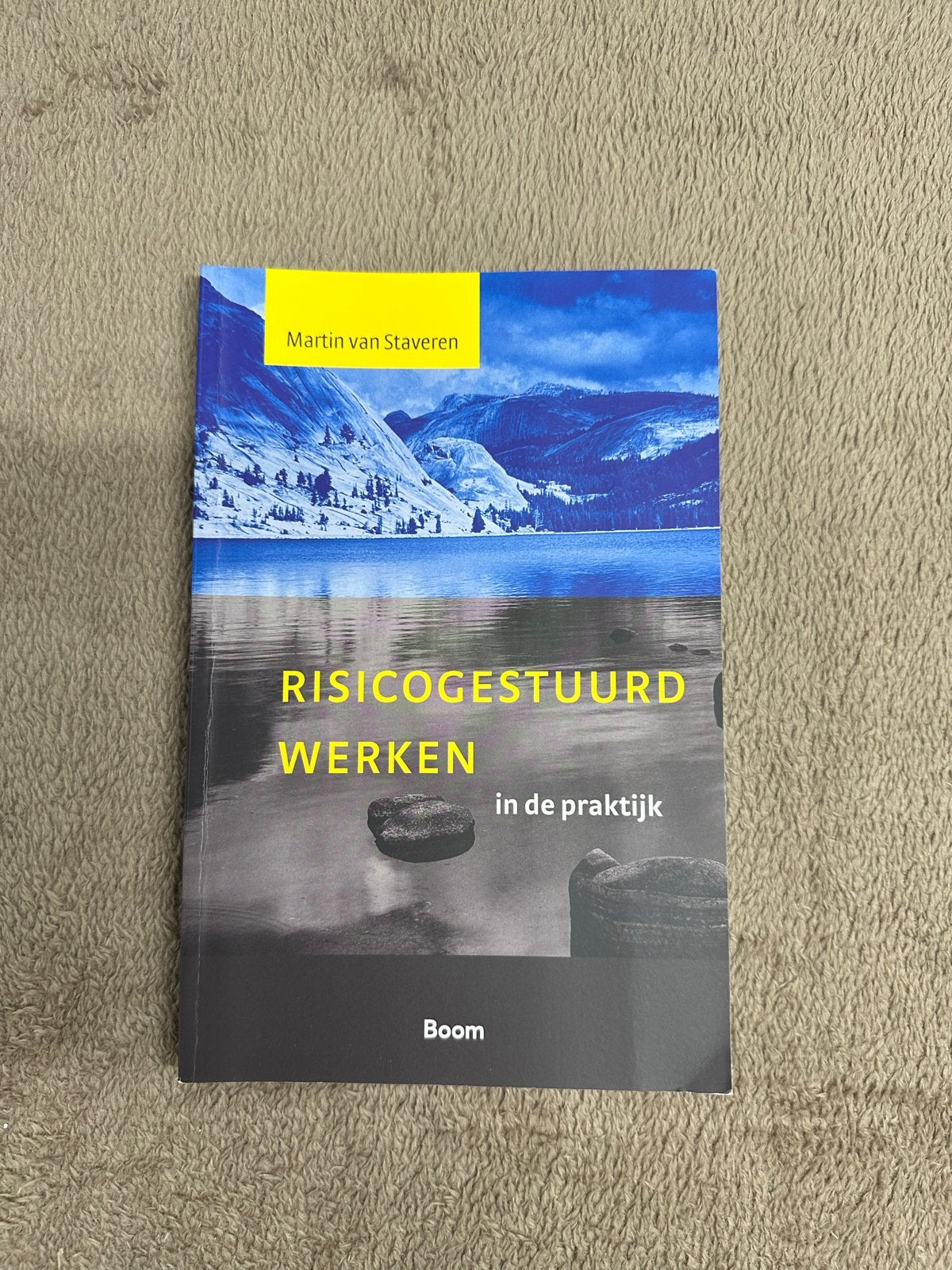 Risicogestuurd Werken in de praktijk - Martin van Staveren, Ophalen of Verzenden, Gamma, Zo goed als nieuw, HBO