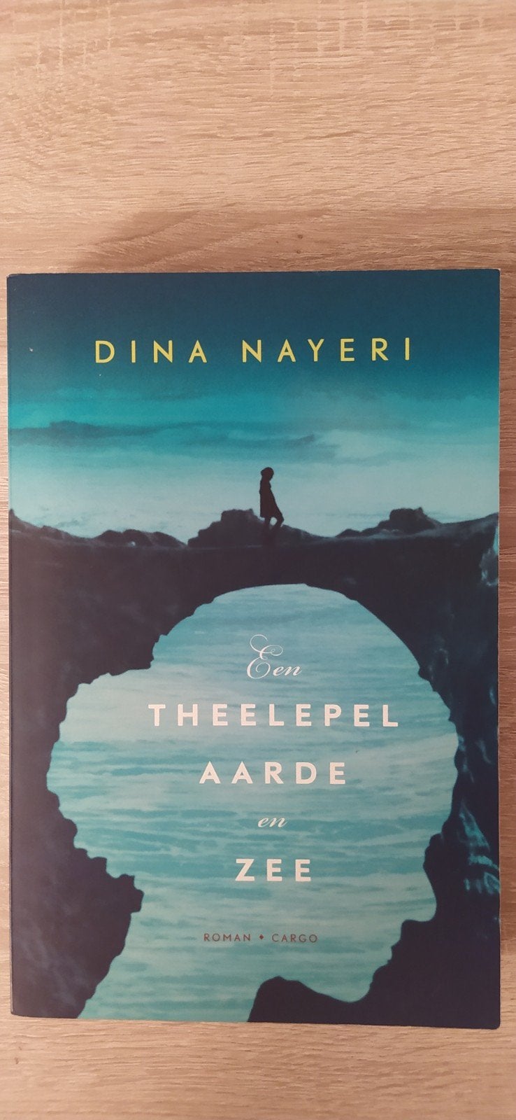 Een Theelepel Aarde en Zee - Dina Nayeri, Zo goed als nieuw, Nederland, Dina Nayeri, Ophalen of Verzenden